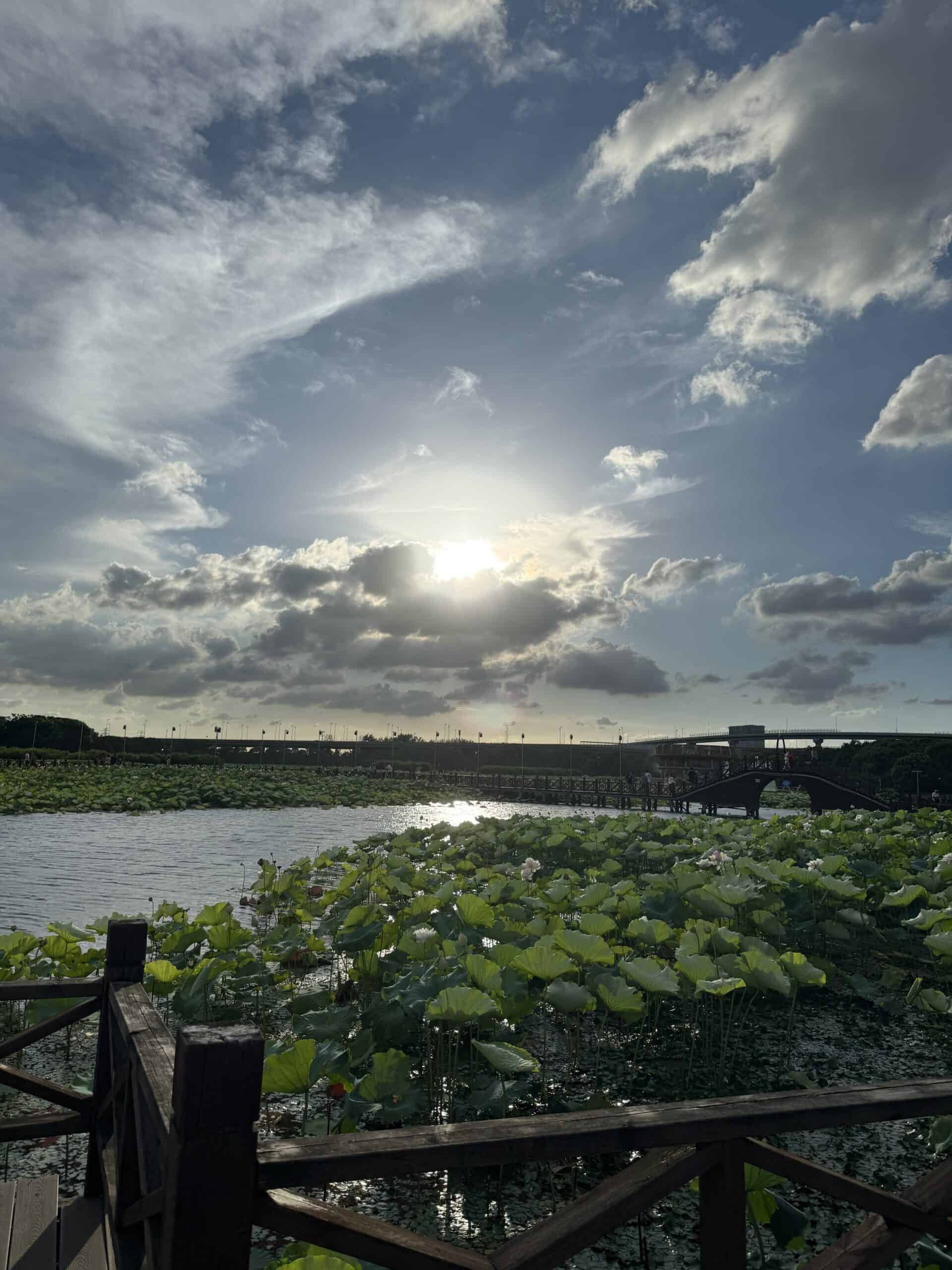 %E8%8D%B7%E5%A1%98%E6%9C%88%E8%89%B2 %E6%99%AF%EF%BC%A3 scaled