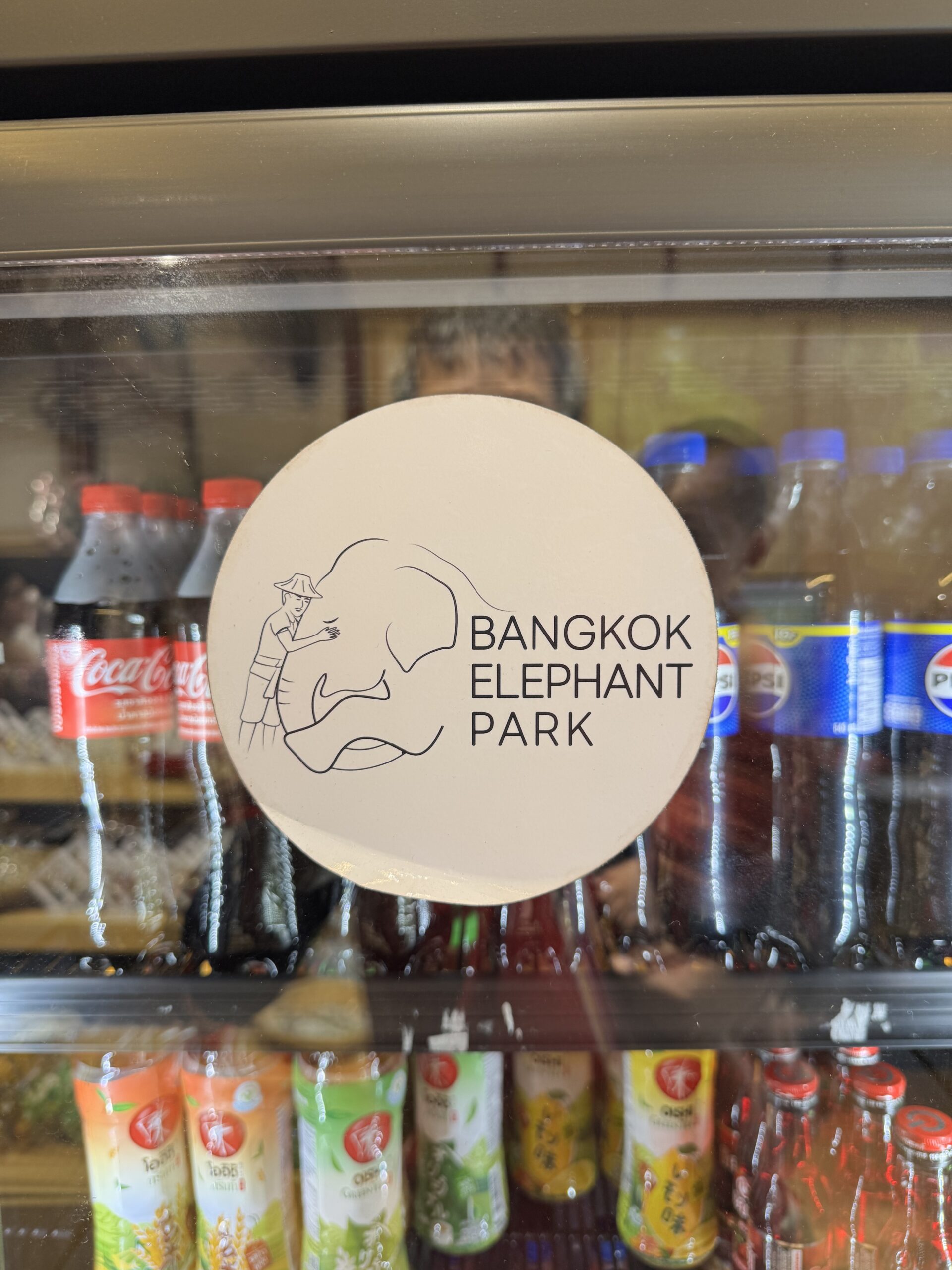 %E5%A4%A7%E8%B1%A1%E5%85%AC%E5%9C%92 %E5%A0%B4%E5%9C%B0%EF%BC%A1 scaled