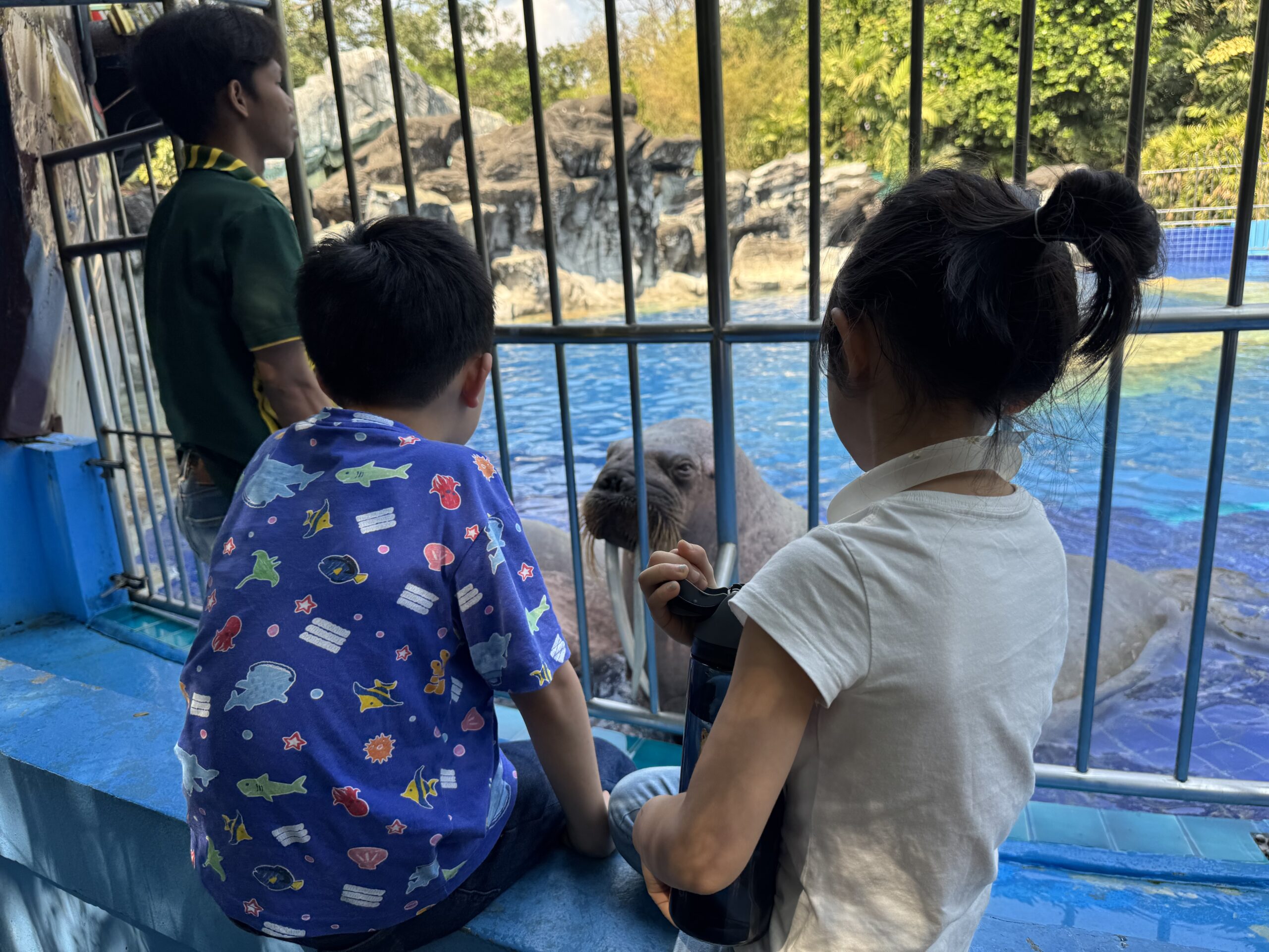 泰國曼谷 Safari World 動物園親子攻略|兩大三小實測Trip.com 包車心得與園區玩法 5 %E7%9C%8B%E6%B5%B7%E7%8D%85 scaled