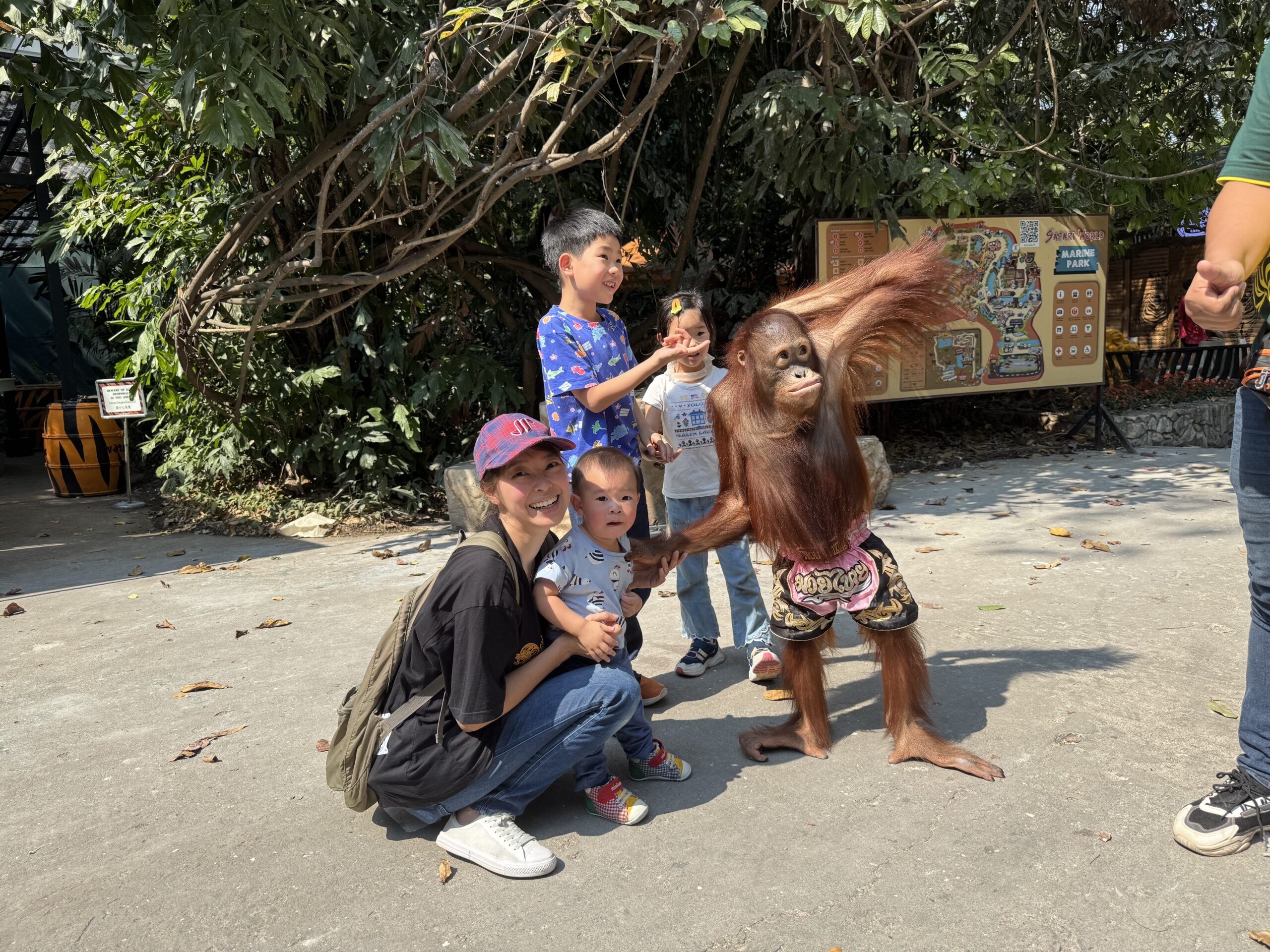 泰國曼谷 Safari World 動物園親子攻略|兩大三小實測Trip.com 包車心得與園區玩法 7 %E8%B7%AF%E4%B8%8A%E6%9C%89%E7%8C%A9%E7%8C%A9%EF%BC%A2 scaled