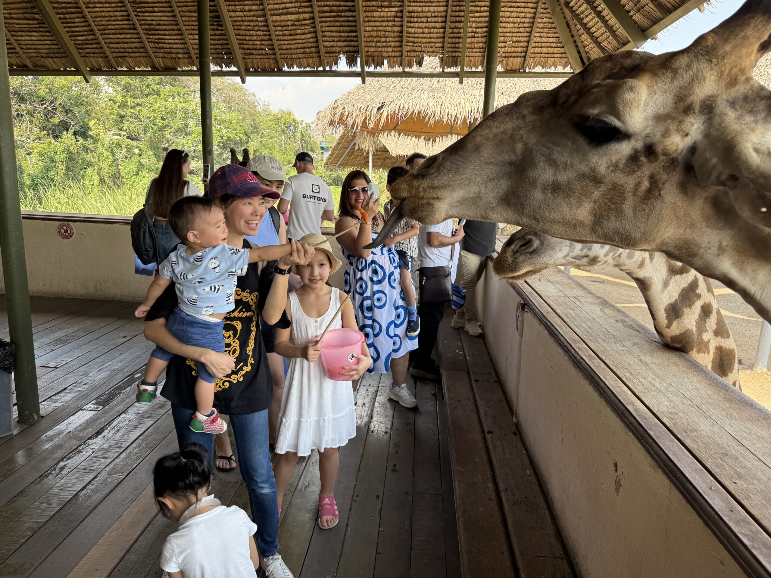 泰國曼谷 Safari World 動物園親子攻略|兩大三小實測Trip.com 包車心得與園區玩法 14 %E9%95%B7%E9%A0%B8%E9%B9%BF%EF%BC%A3 scaled